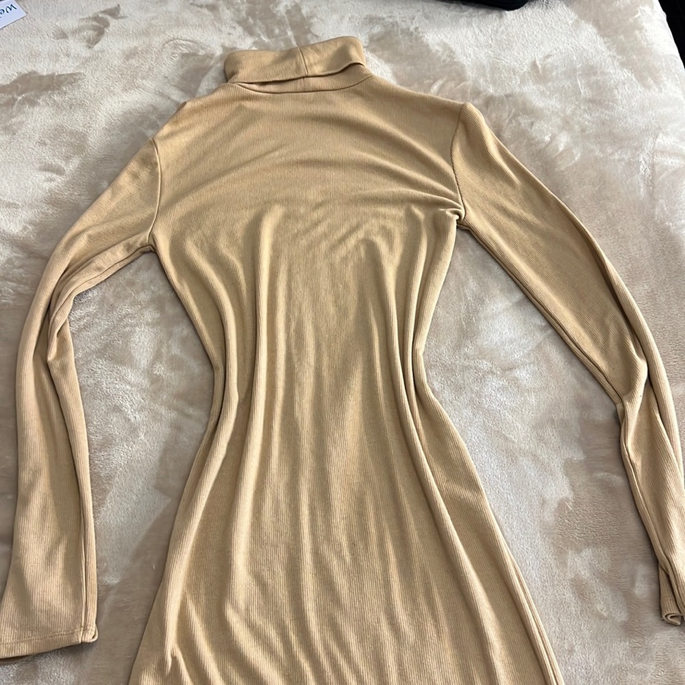 Long Turtle neck dress